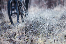 Young man riding with his bike through a with frost covered forest, Allgaeu, Bavaria, Germany