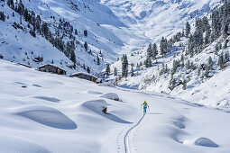 Frau auf Skitour steigt durch Frommgrund zum Ochsenkopf auf, Frommalm im Hintergrund, Frommgrund, Ochsenkopf, Kitzbüheler Alpen, Tirol, Österreich
