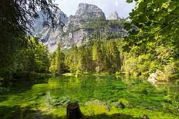 Lake Gosaulacke, Gosau, Salzkammergut, Upper Austria, Austria, Europe