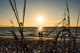A couple going for a stroll along the beach at sunset, the Gulf of Mexico, Boca Grande, Florida, USA
