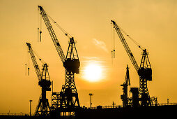 Silhouette of the harbour cranes in the Hamburg port, Hamburg, Germany