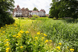 Castle Basedow, Lenne Park,  Mecklenburg lakes, Mecklenburg lake district, Basedow, Mecklenburg-West Pomerania, Germany, Europe