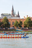 dragon boat festival, summer, Mecklenburg lakes, Mecklenburg lake district, Schwerin, Mecklenburg-West Pomerania, Germany, Europe