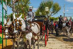 Pferdekutsche, Feria de Abril, Frühlingsfest, Sevilla, Andalusien, Spanien, Europa