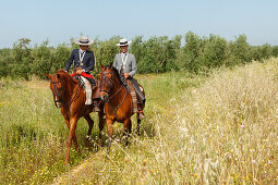 Horse riders at the Rocio pilgrimage, Pentecost festivity, Huelva province, Sevilla province, Andalucia, Spain, Europe
