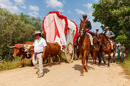 Horse riders on the El Rocio pilgrimage, Pentecost festivity, Huelva province, Sevilla province, Andalucia, Spain, Europe