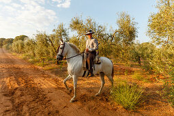 Horse rider at El Rocio pilgrimage, Pentecost festivity, Huelva province, Sevilla province, Andalucia, Spain, Europe