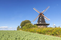 Mühle Särdals Kvarn, Haverdal, Halland, Südschweden, Schweden, Skandinavien, Nordeuropa, Europa