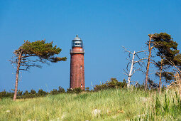' Darß lighthouse, Baltic Sea, Mecklenburg-West Pomerania; Germany, Europe'