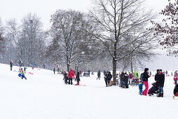 Sledging during Snow Fall at Monopteros, English Garden, Munich, Germany