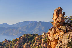 Remarkable Tafoni rock in the Calanche, between Porto and Piana, West Corsica, Corsica, Southern France, France, Southern Europe, Europe