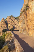 Winding road in the Calanche, west coast between Porto and Piana, West Corsica, Corsica, Southern France, France, Southern Europe, Europe