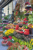 Blumenladen am Stephansplatz in der Altstadt von Wien, Ostösterreich, Österreich, Europa