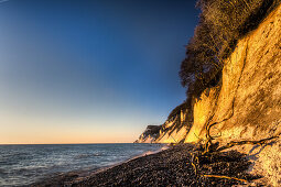 Driftwood on the beach, Chalk Cliffs, White Cliffs of Moen, Moens Klint, Isle of Moen, Baltic Sea, Denmark