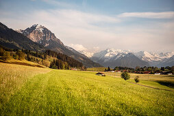 Berglandschaft bei Sonthofen im Frühjahr, Sonthofen, Allgäu, Bayern, Deutschland