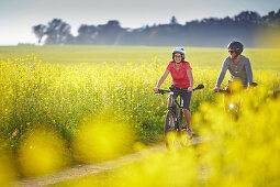 man and woman, on eBikes, cycling through mustard fields, Muensing, Upper Bavaria, Germany