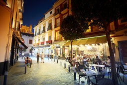 Strassencafes in der Altstadt , Sevilla, Andalusien, Spanien, Europa