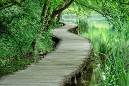 Pier in National Park Plitvice Lakes, National Park Plitvice Lakes, Plitvice, UNESCO world heritage site National Park Lake Plitvice, Croatia