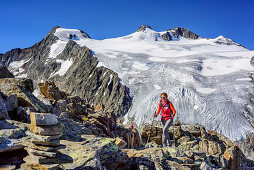 Frau beim Wandern steigt zum Großen Trögler auf, Wilder Pfaff und Zuckerhütl im Hintergrund, Großer Trögler, Stubaier Alpen, Tirol, Österreich