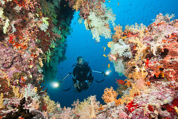 Taucher am Riff, Felidhu Atoll, Malediven