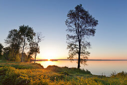 Morning mood at lake Mueritz, Mueritz-Elde-Wasserstrasse, Mecklenburgische Seenplatte, Mecklenburg-West Pomerania, Germany