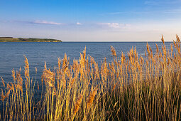 View over Hagensche Wiek to Moenchgut peninsula, Ruegen,  Baltic Sea, Mecklenburg-West Pomerania, Germany