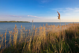 Blick über die Hagensche Wiek zur Halbinsel Mönchgut, Rügen, Ostsee, Mecklenburg-Vorpommern, Deutschland