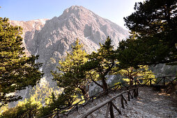 am obernen Einstieg in die Samariá Schlucht, West- Kreta, Griechenland