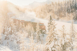 Train passing Morant´s Curve, Banff Town, Bow Valley, Banff National Park, Alberta, canada, north america