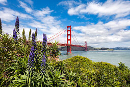 Golden Gate bridge, San Francisco, California, USA