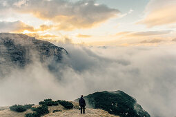 Landschaft bei den Dolomiten, Südtirol, Trentino,  Italien, Europa