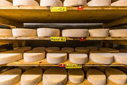 Käseproduktion auf der Alpe le Vuipay in Chatel-Saint-Denis, Gruyère, Kanton Freiburg, Schweiz