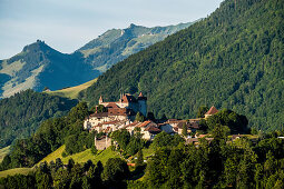 Blick auf das Dorf Gruyère, Gruyère, Kanton Freiburg, Schweiz