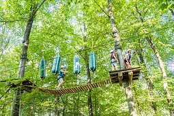 Kletterwald Volksdorf bei Hamburg, Nordeutschland, Deutschland