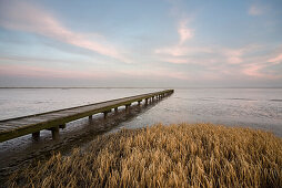 Jade Bay in the morning light, Wattenmeer National Park, German North Sea, Dangast, Varel, Landkreis Friesland, Lower Saxony, Germany