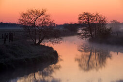 Dawn in fog at Friedeburger Tief, Etzel, Friedeburg, Wittmund, Ostfriesland, Lower Saxony, Germany