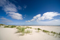 Sand dunes under blue sky, Spiekeroog, German North Sea, Wattenmeer National Park, Ostfriesland, Lower Saxony, Germany