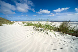 Sanddünen unter blauem Himmel, Spiekeroog, Nordsee, Nationalpark Wattenmeer, Ostfriesland, Niedersachsen, Deutschland