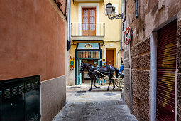 ' Horse-drawn carriage in the old city of Palma, Palma de Mallorca; Balearic Islands; Spain; Europe'
