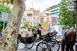 Horse carriage in the old town of Palma, historic city centre, Ciutat Antiga, Palma de Mallorca, Majorca, Balearic Islands, Mediterranean Sea, Spain, Europe