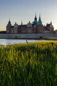 Kalmar castle with green reeds and goose in the foreground, Schweden