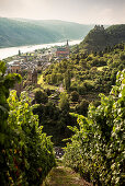 UNESCO World Heritage Upper Rhine Valley, view towards Bacharach and Stahleck castle, grapevines in the foreground, Rhineland-Palatinate, Germany