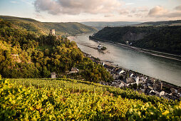 UNESCO Welterbe Oberes Mittelrheintal, Burg Gutenfels und Burg Pfalzgrafenstein, Weinreben, Rhein, Rheinland-Pfalz, Deutschland