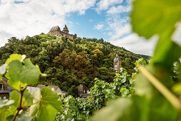 UNESCO Welterbe Oberes Mittelrheintal, Blick über Weinberge auf Burg Stahleck, Rhein, Rheinland-Pfalz, Deutschland