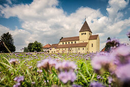 UNESCO Welterbe Klosterinsel Reichenau, Basilika St. Georg in Oberzell, blühende Blumenwiese, Insel Reichenau im Bodensee, Baden-Württemberg, Deutschland