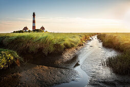 UNESCO Weltnaturerbe Wattenmeer, Leuchtturm Westerheversand umgeben von Salzwiesen, Westerhever, Schleswig-Holstein, Deutschland, Nordsee