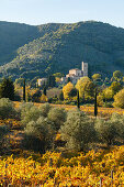 Abbazia di Sant Antimo, Abbey of Sant Antimo, monasrtry, 8th century, vineyards, near Montalcino, autumn, Val d´Orcia, UNESCO World Heritage Site, Tuscany, Italy, Europe