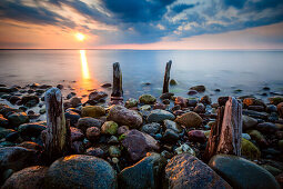 poles, pole, Baltic Sea, Brooker Wald, Mecklenburg Vorpommern, Groß Schwansee, Germany