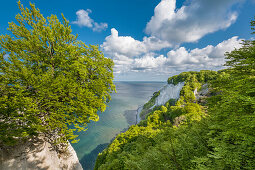 Blick vom Königsstuhl, Stubbenkammer, Nationalpark Jasmund, Rügen, Mecklenburg-Vorpommern, Deutschland