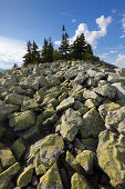 Granit-Blockmeer am Gipfel des Lusen, Bayrischer Wald, Bayern, Deutschland